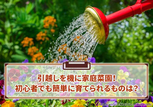 引越しを機に家庭菜園！初心者でも簡単に育てられるものは？