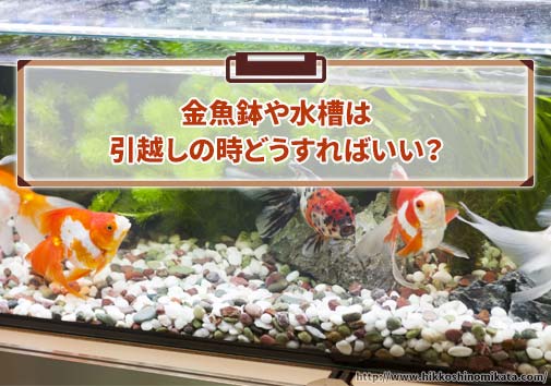 金魚鉢や水槽を引越すための梱包の方法